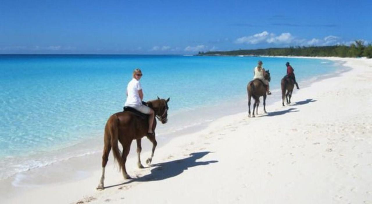 Residencial Mananero II Leilighet Cabarete Eksteriør bilde