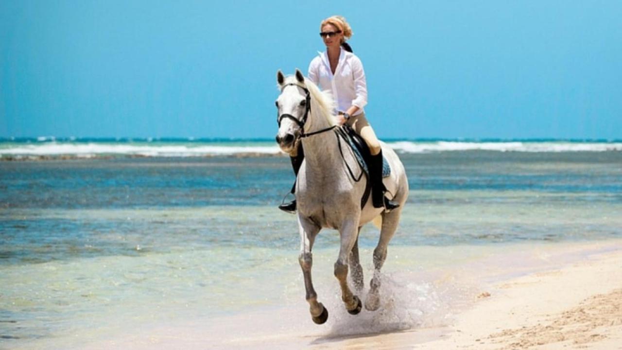 Residencial Mananero II Leilighet Cabarete Eksteriør bilde